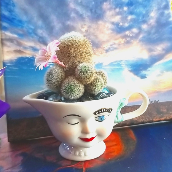 I ❤ OFFERS Thank You For Peeking In At My Closet ❤ - Picture 12 of 12